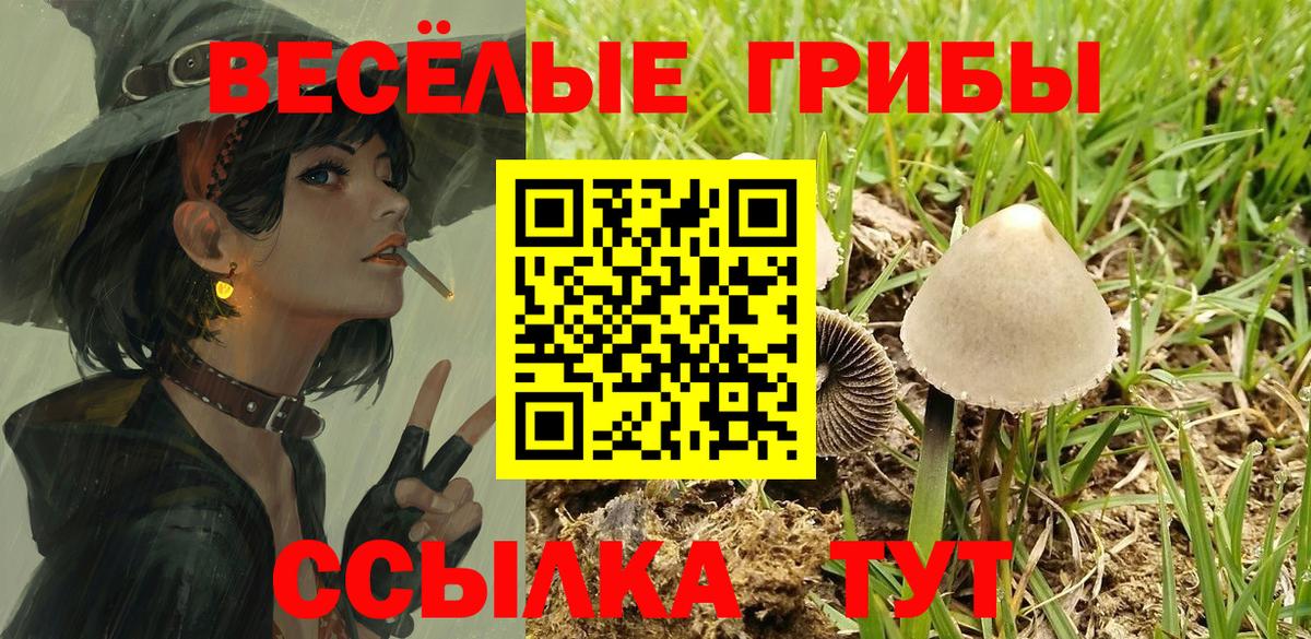 Псилоцибиновые грибы Magic Shrooms  Вход с VPN  Орск  Псилоцибиновые грибы Magic Shrooms 